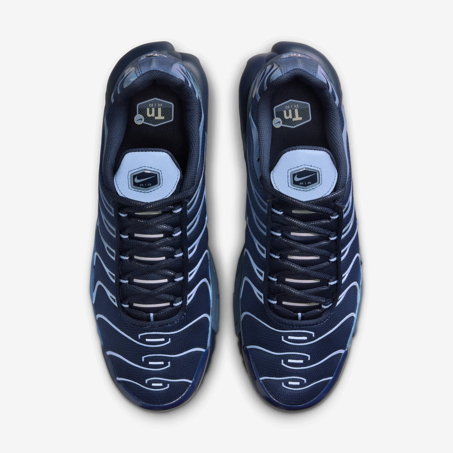 Nike Air Max Plus Obsidian Aluminum