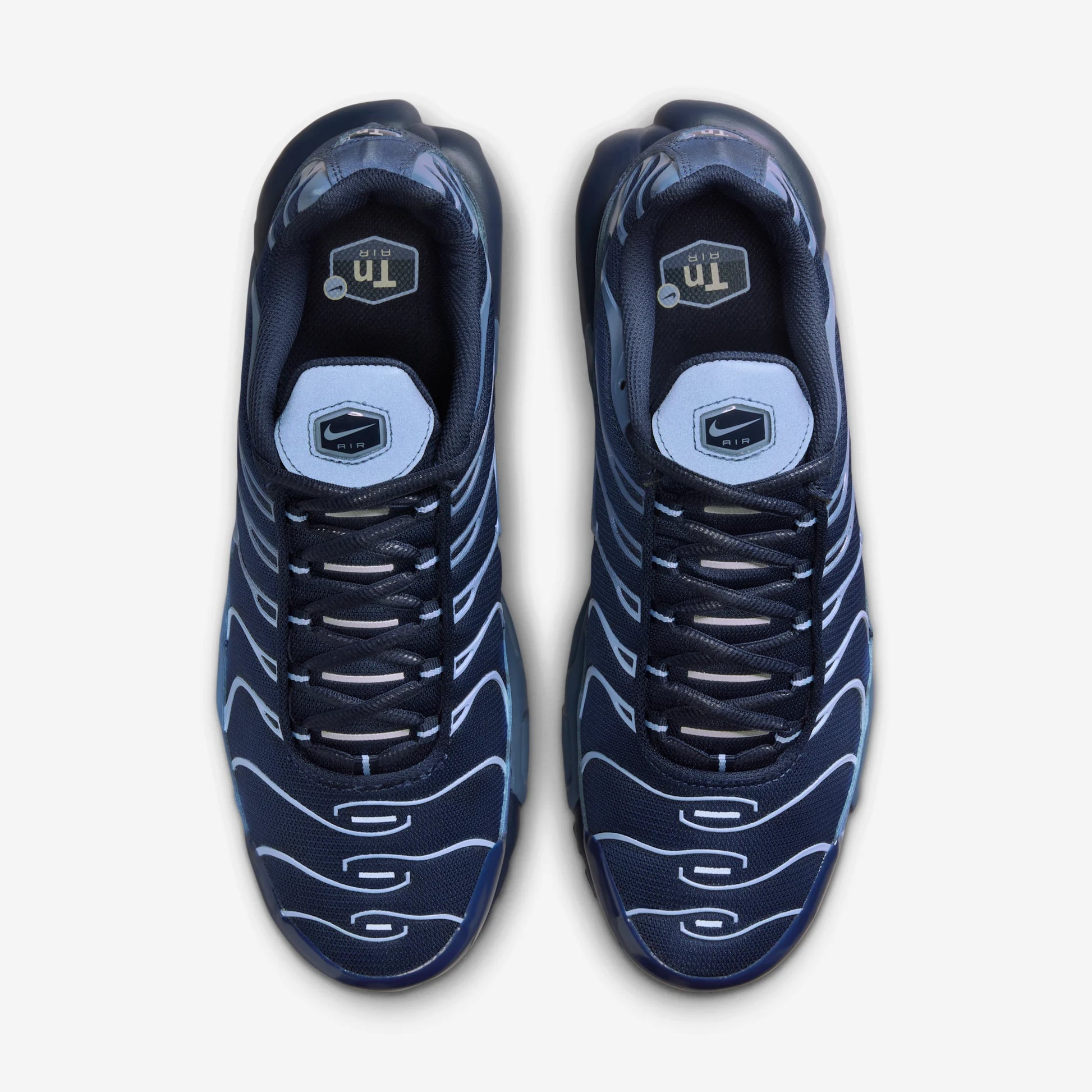 Nike Air Max Plus Obsidian Aluminum