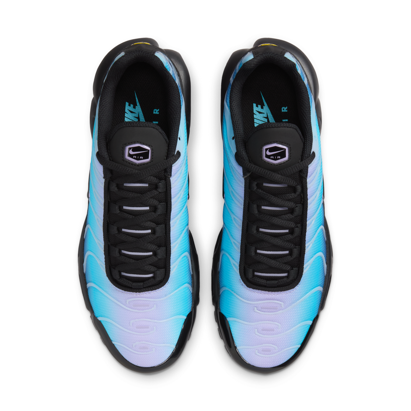 Nike Air Max Plus Black Hydrangeas (Women's)