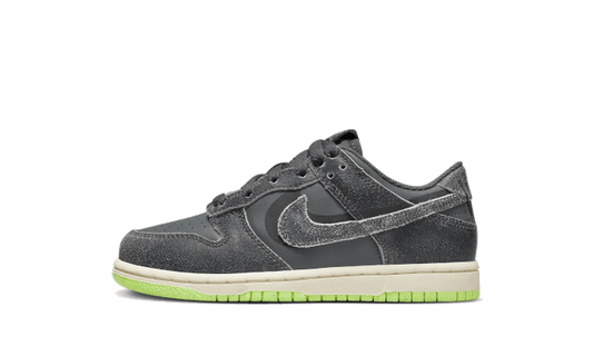 Nike Dunk Low Swoosh Shadow Iron Grey Enfant (PS)