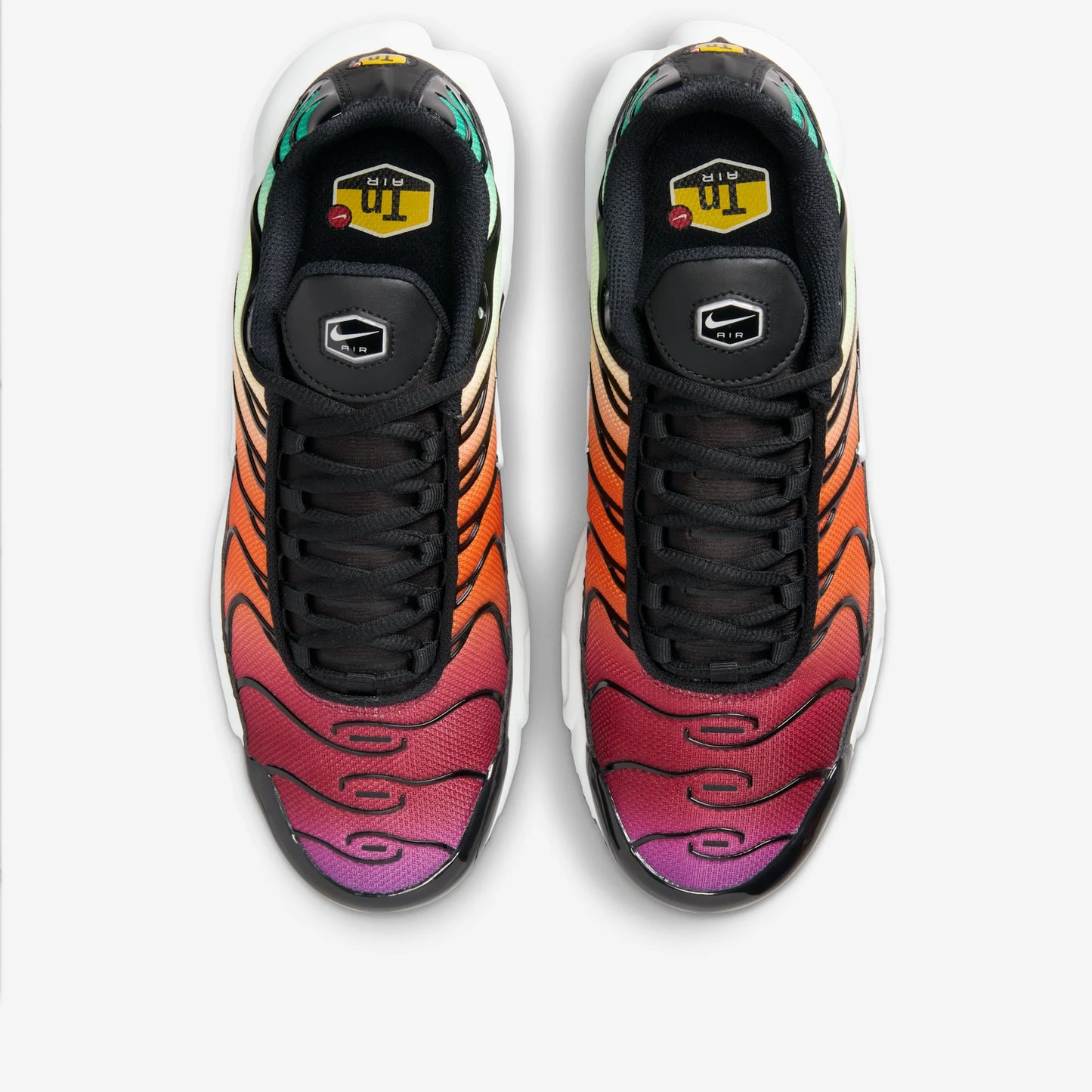 Nike Air Max Plus Rainbow (Women's)