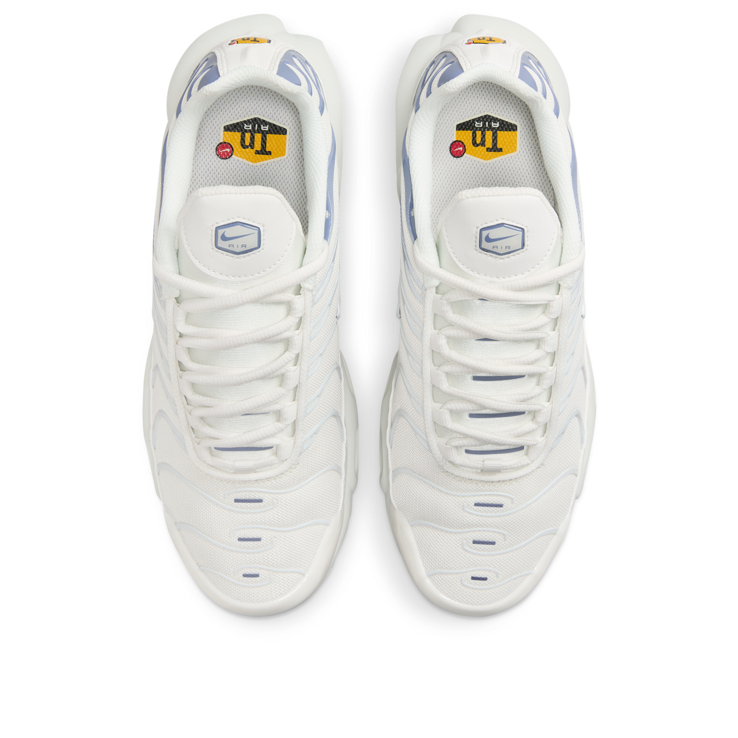 Nike Air Max Plus Ashen Slate (Women's)