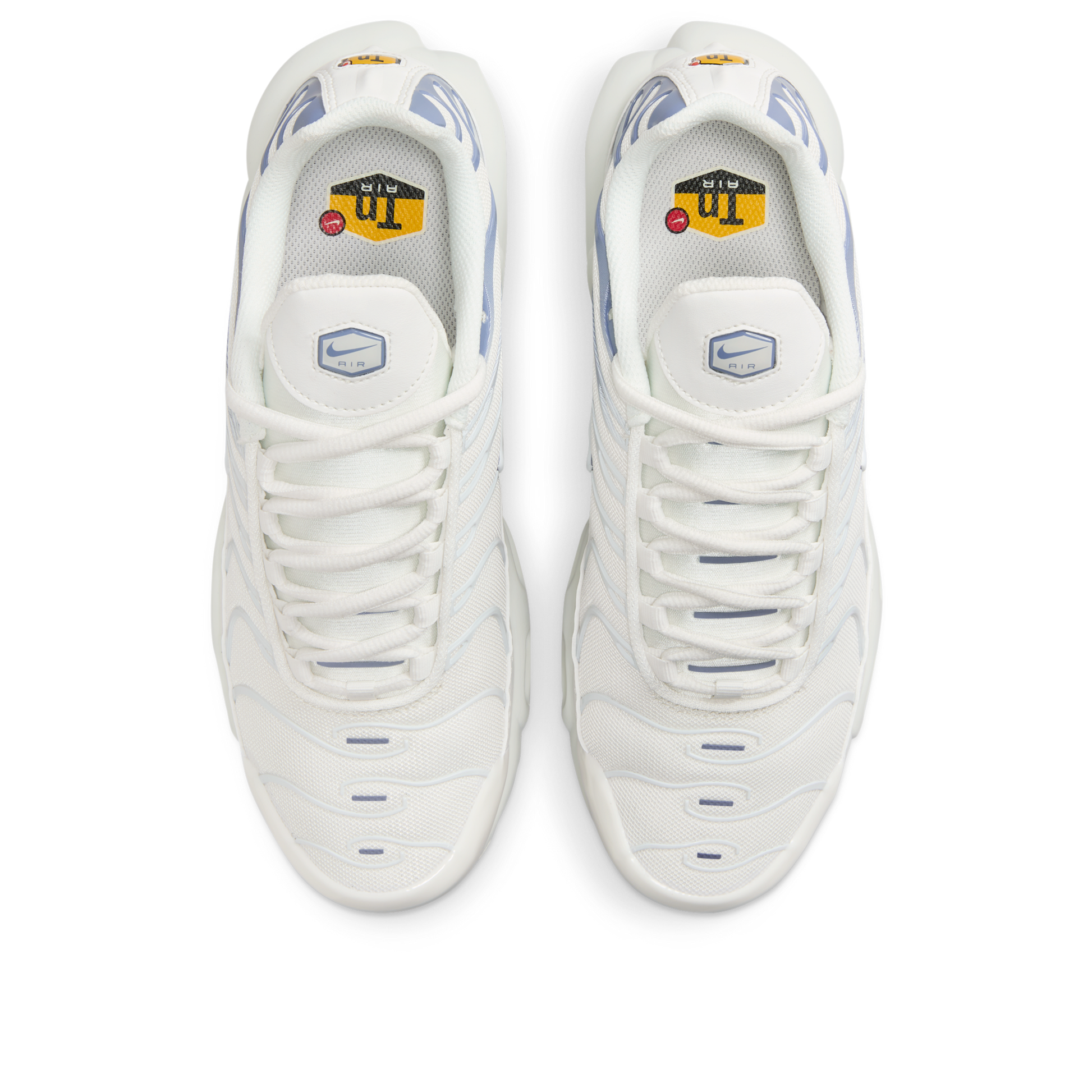 Nike Air Max Plus Ashen Slate (Women's)