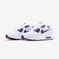 Nike Air Max 90 Color Pack Court Purple