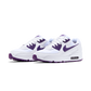 Nike Air Max 90 Color Pack Court Purple