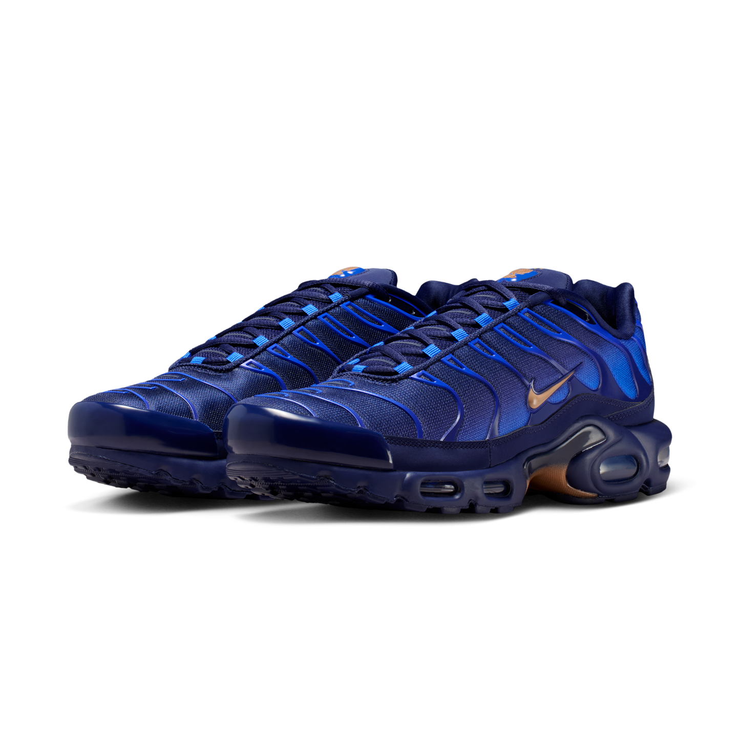 Nike Air Max Plus French Football Federation
