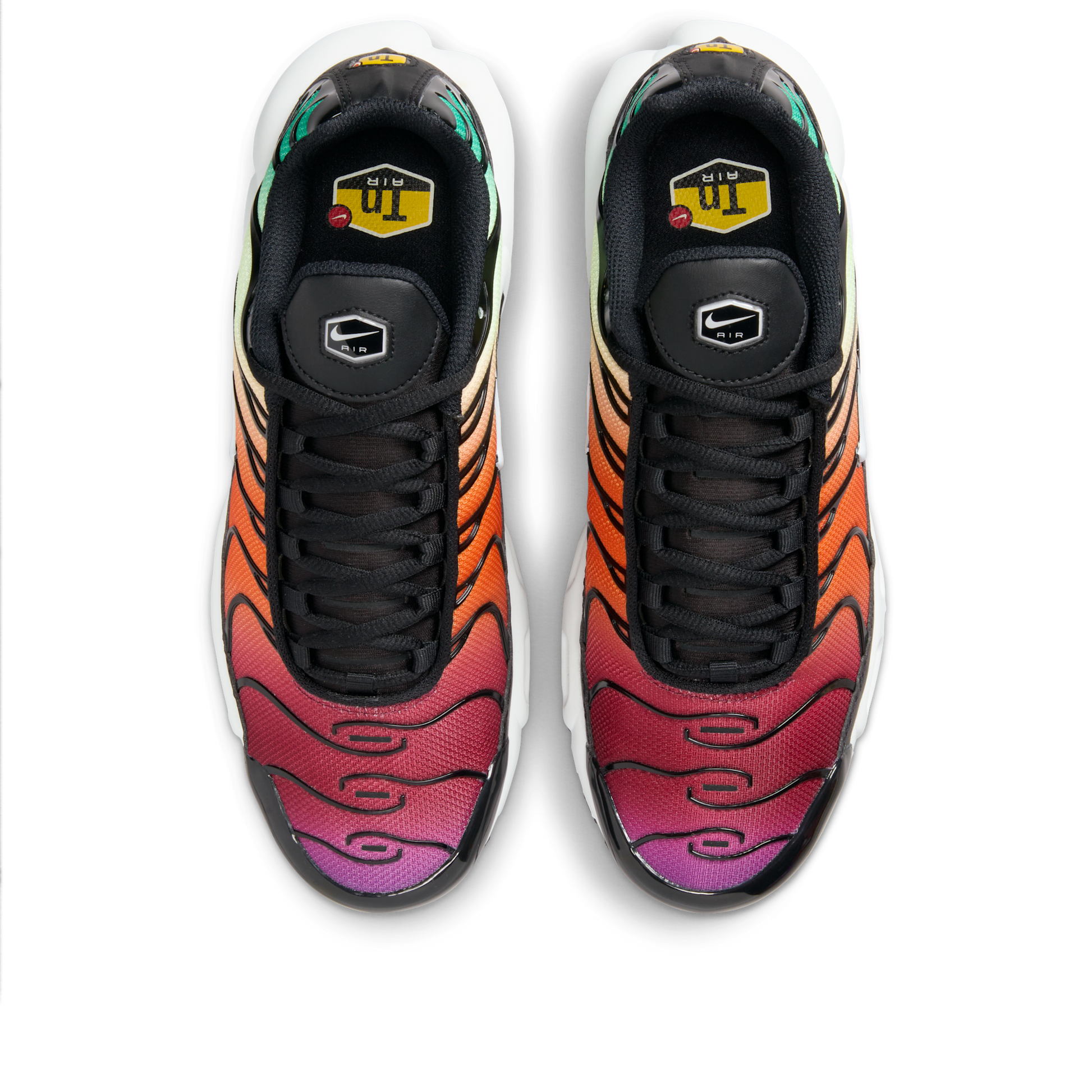 Nike Air Max Plus Rainbow (Women's)