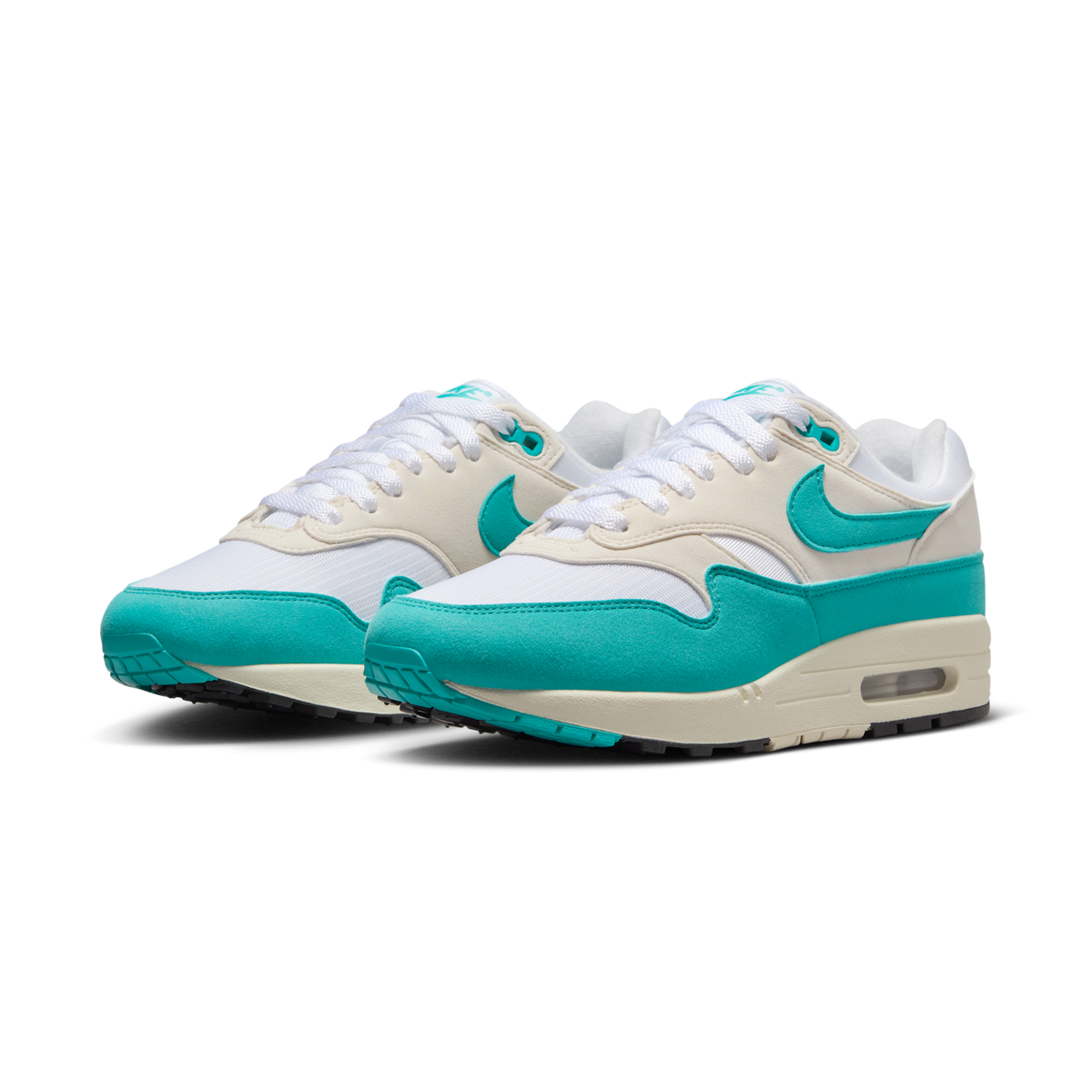 Nike Air Max 1 Dusty Cactus (Women's)