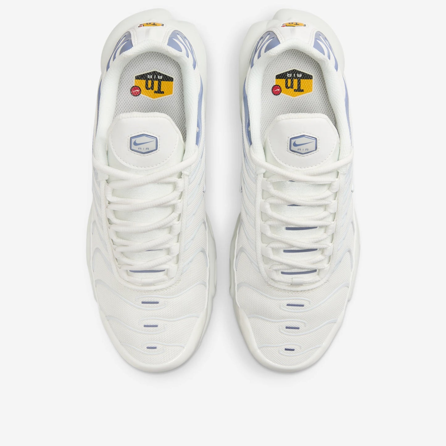 Nike Air Max Plus Ashen Slate (Women's)