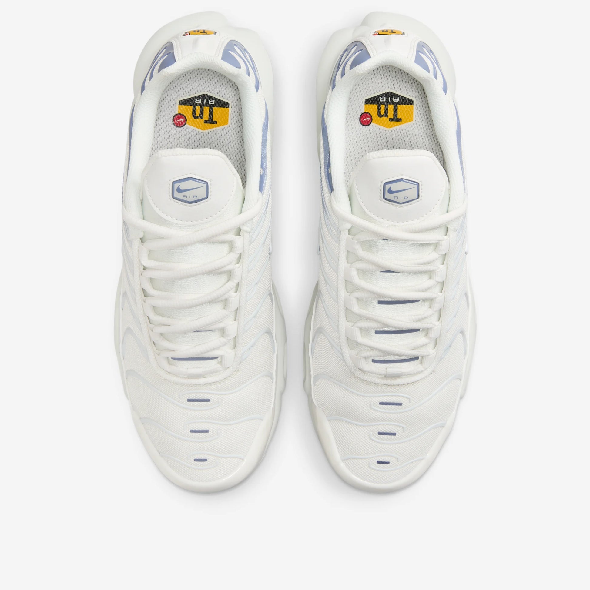 Nike Air Max Plus Ashen Slate (Women's)