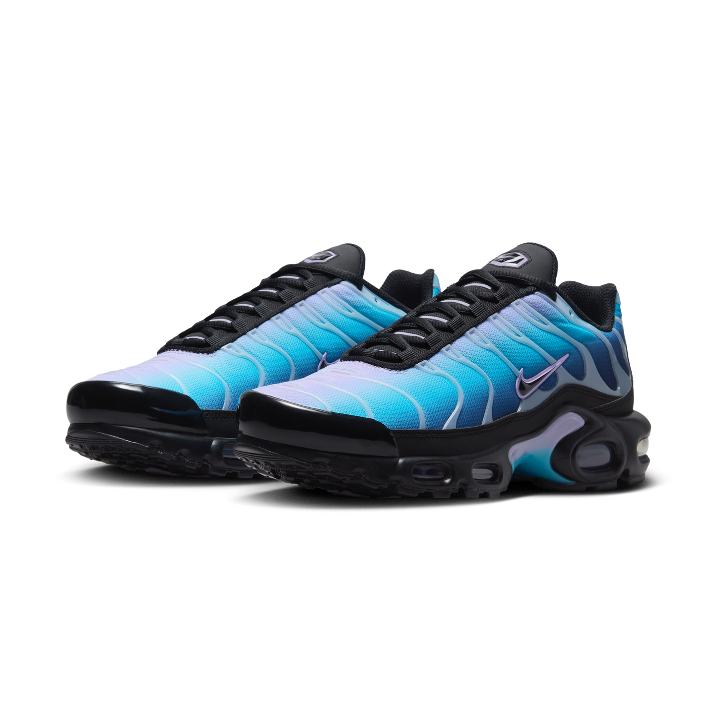 Nike Air Max Plus Black Hydrangeas (Women's)
