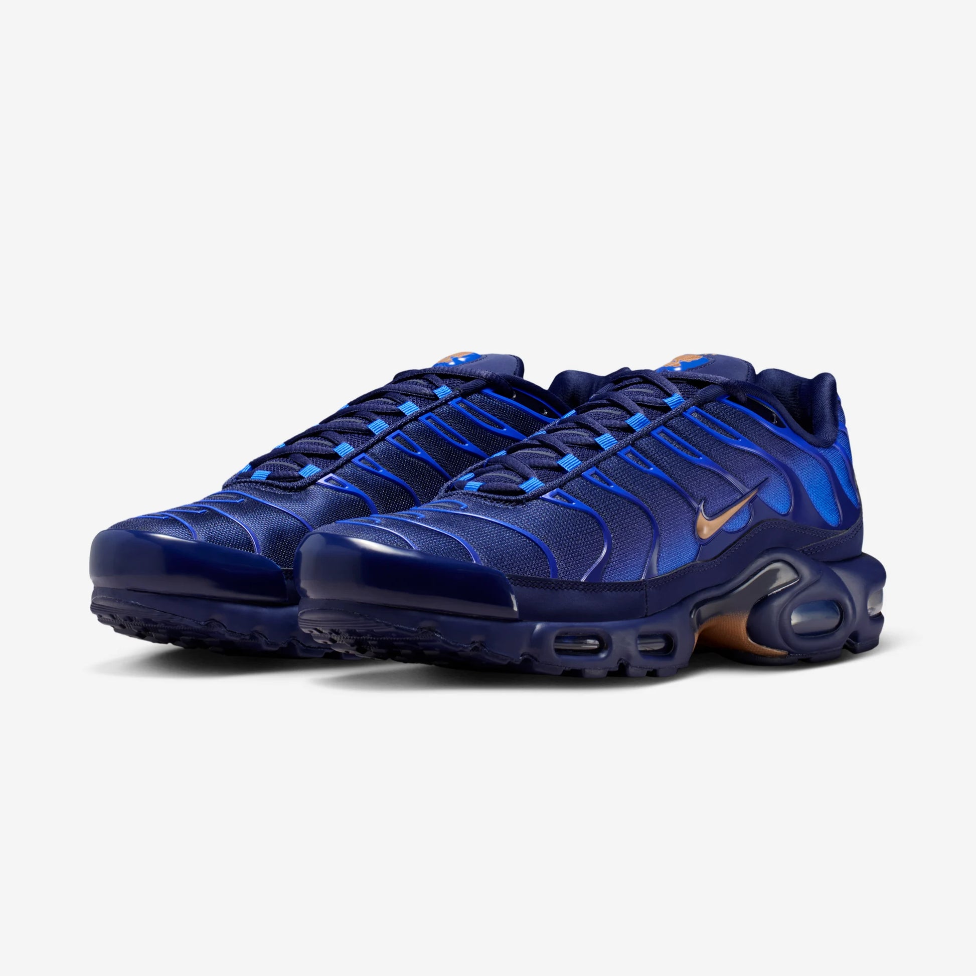 Nike Air Max Plus French Football Federation