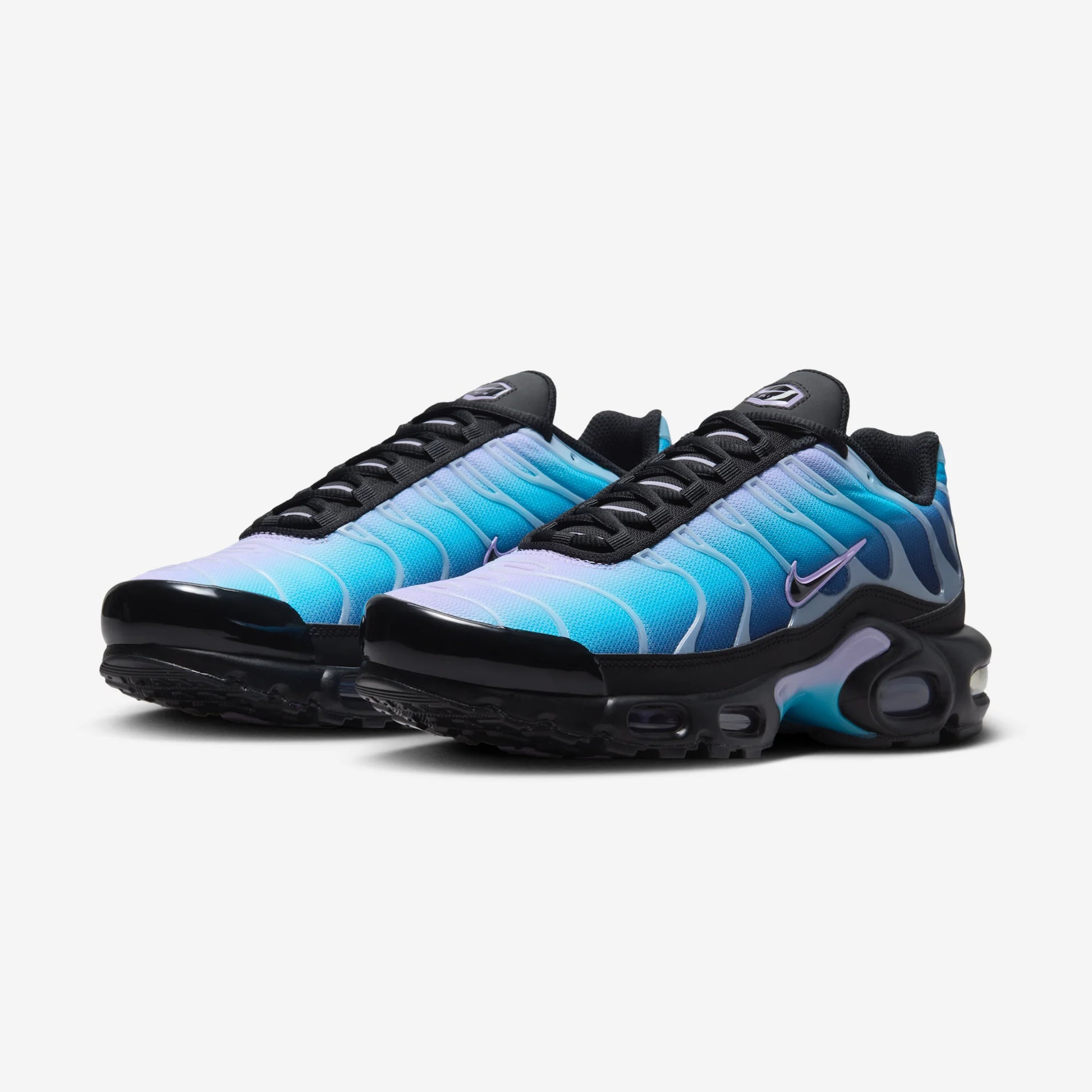 Nike Air Max Plus Black Hydrangeas (Women's)