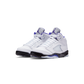 Jordan 5 Retro Dark Concord (PS)