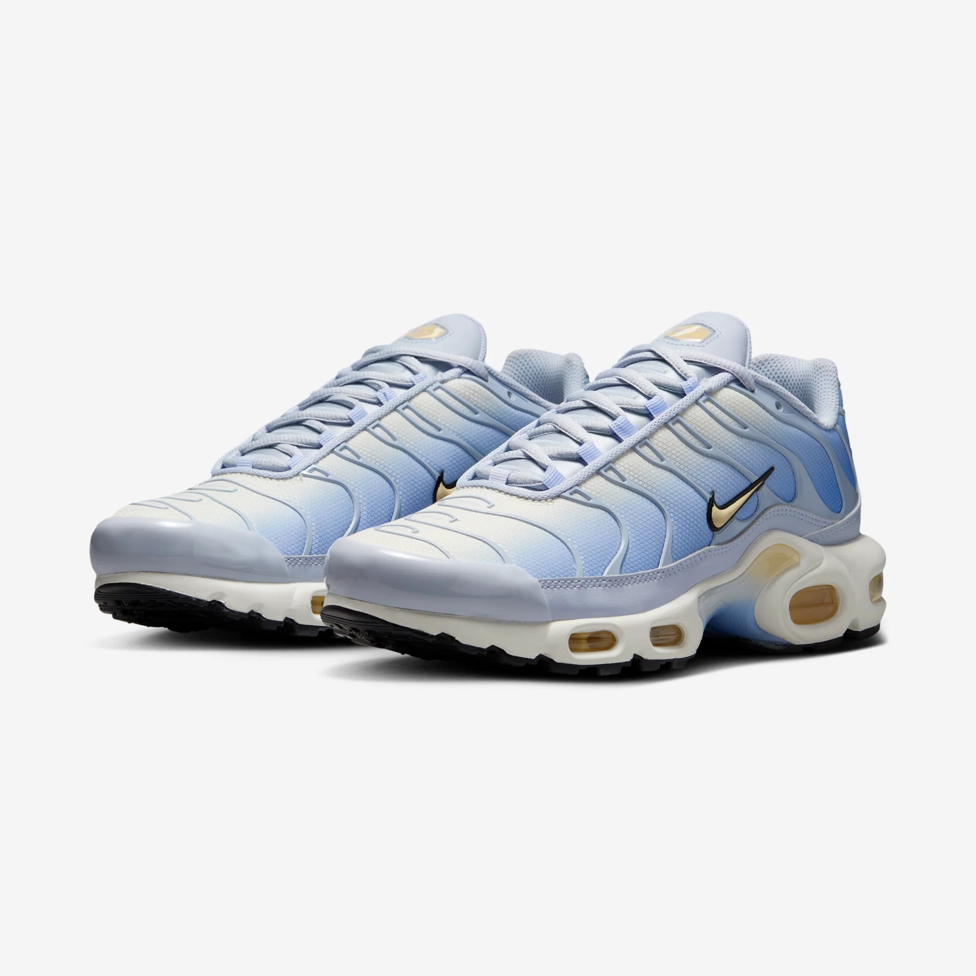 Nike Air Max Plus Daybreak (Women's)
