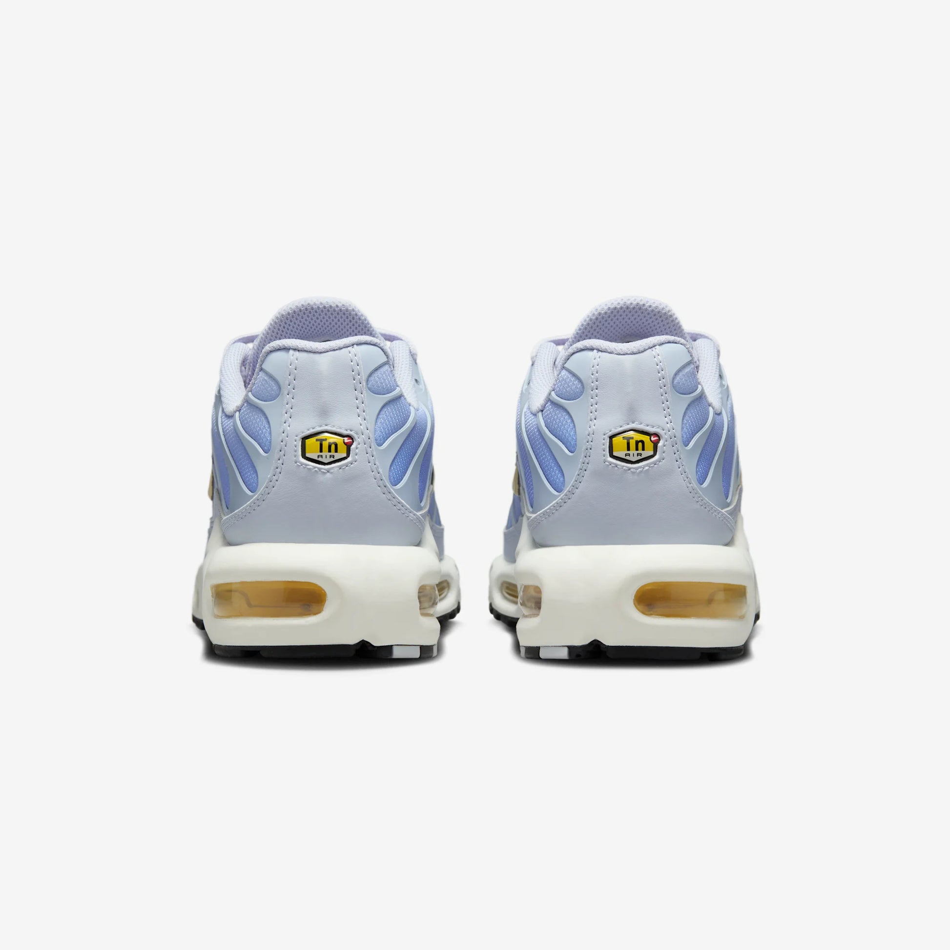 Nike Air Max Plus Daybreak (Women's)