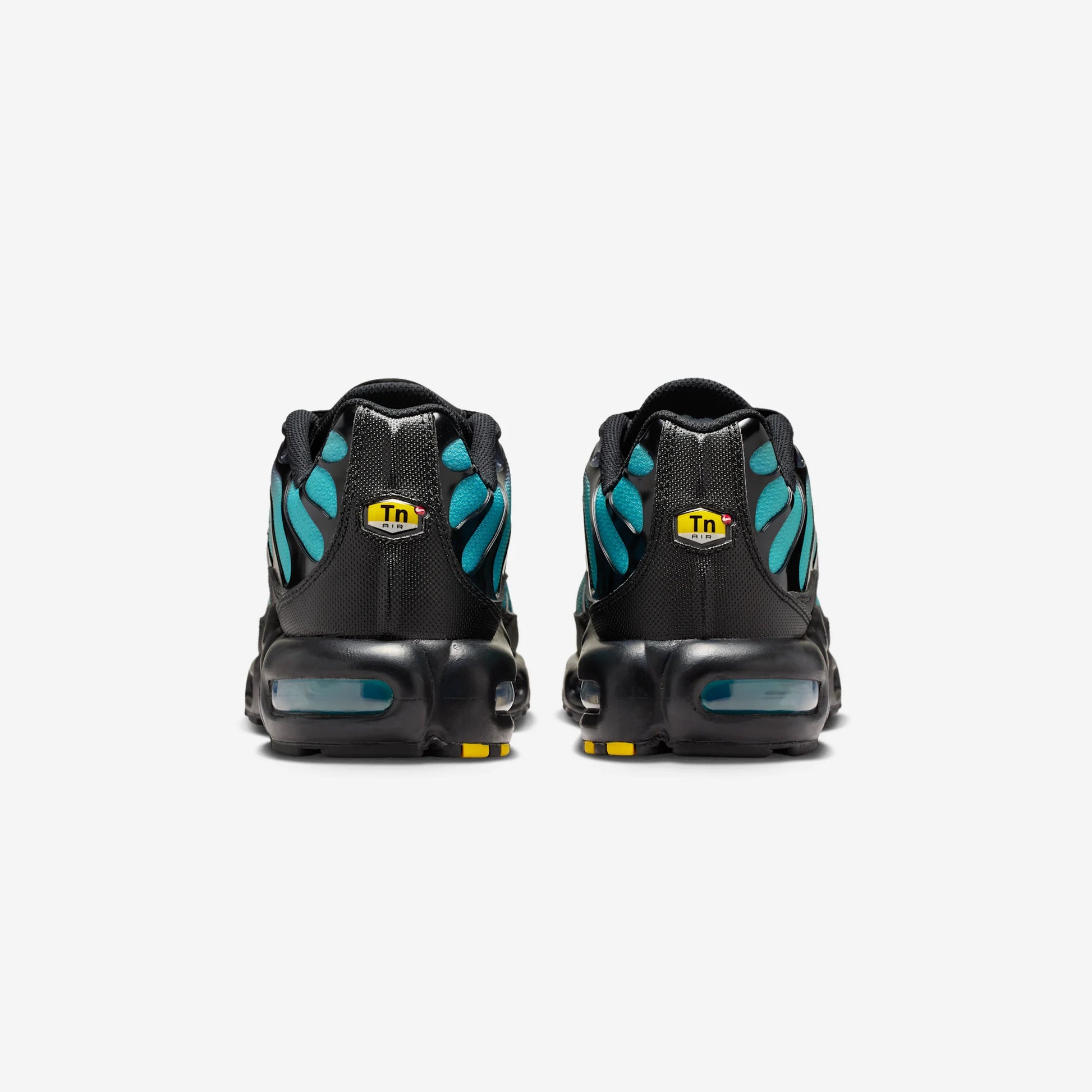 Nike Air Max Plus Black Dusty Cactus
