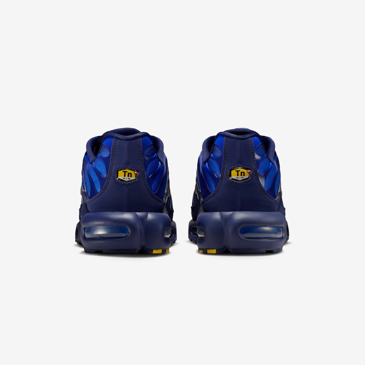 Nike Air Max Plus French Football Federation