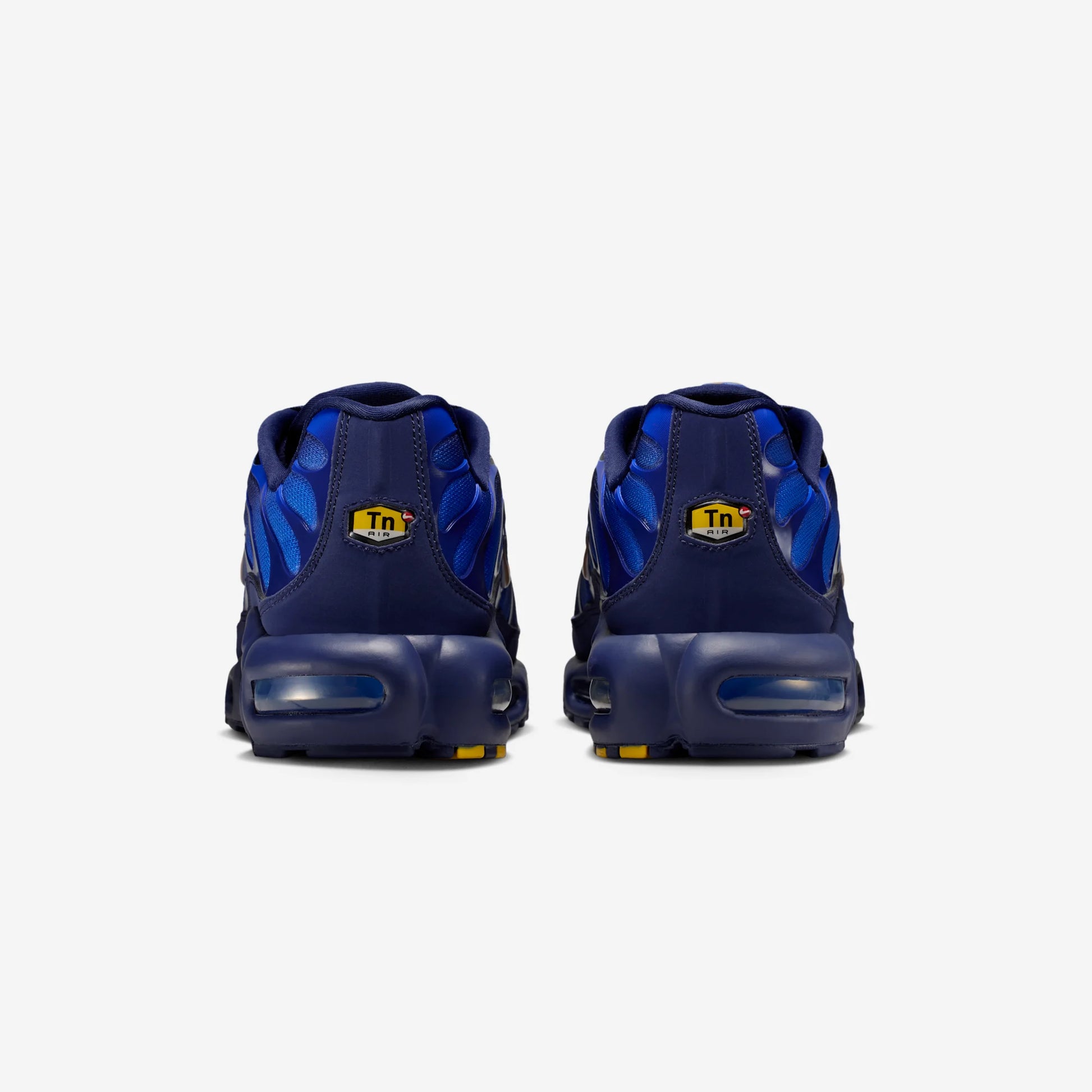 Nike Air Max Plus French Football Federation