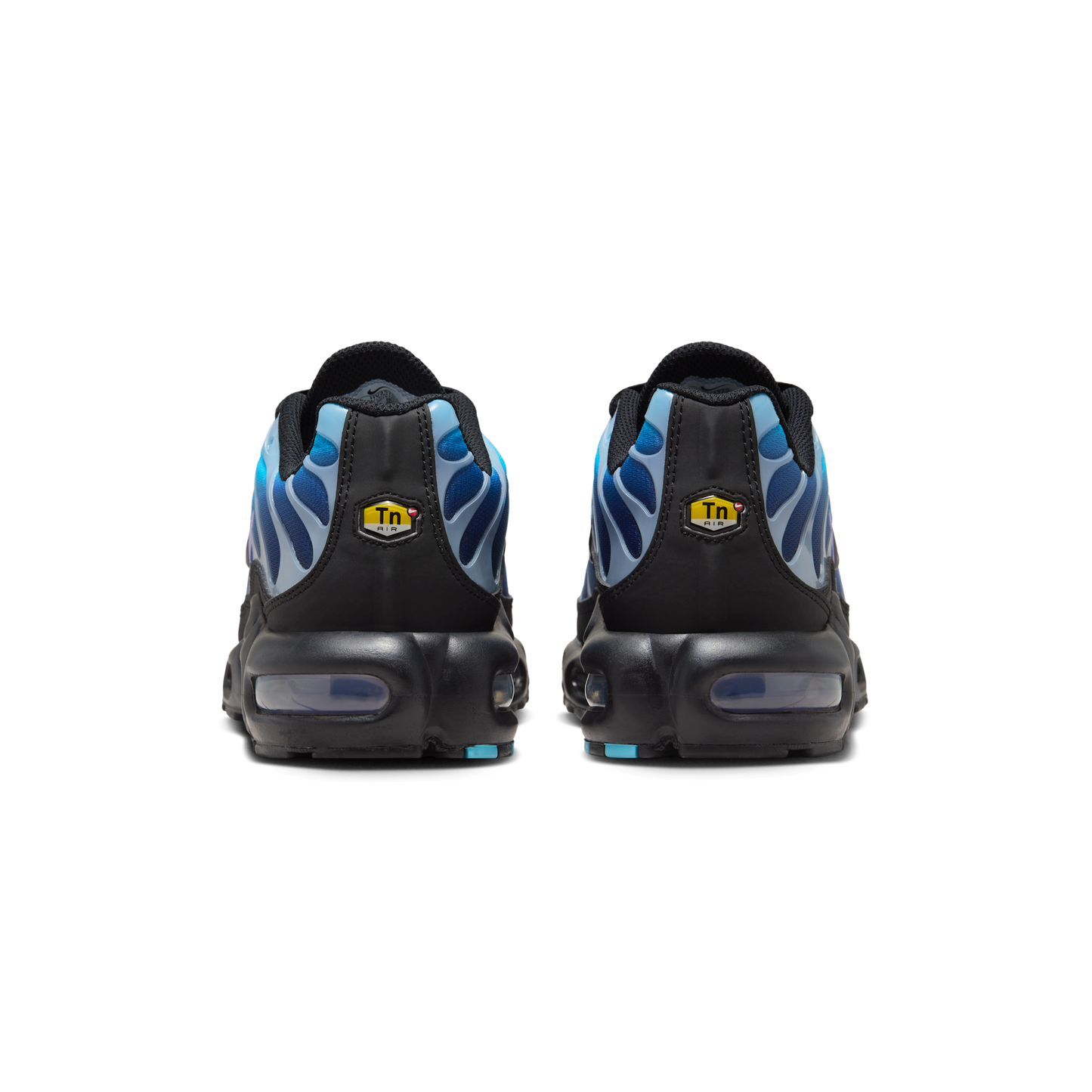 Nike Air Max Plus Black Hydrangeas (Women's)