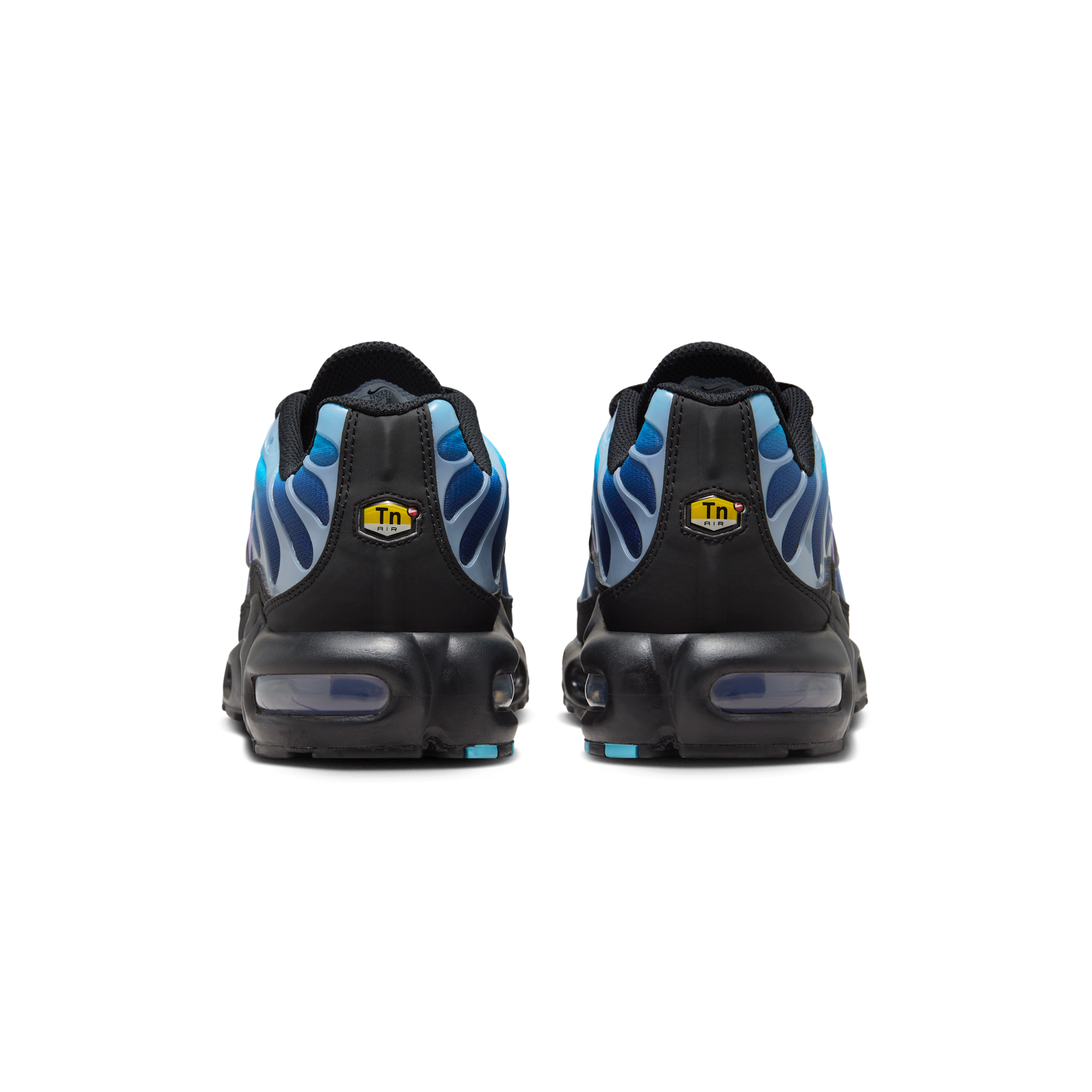 Nike Air Max Plus Black Hydrangeas (Women's)