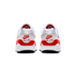 Nike Air Max 1 Anniversary Red (2017/2018 Restock Pair)