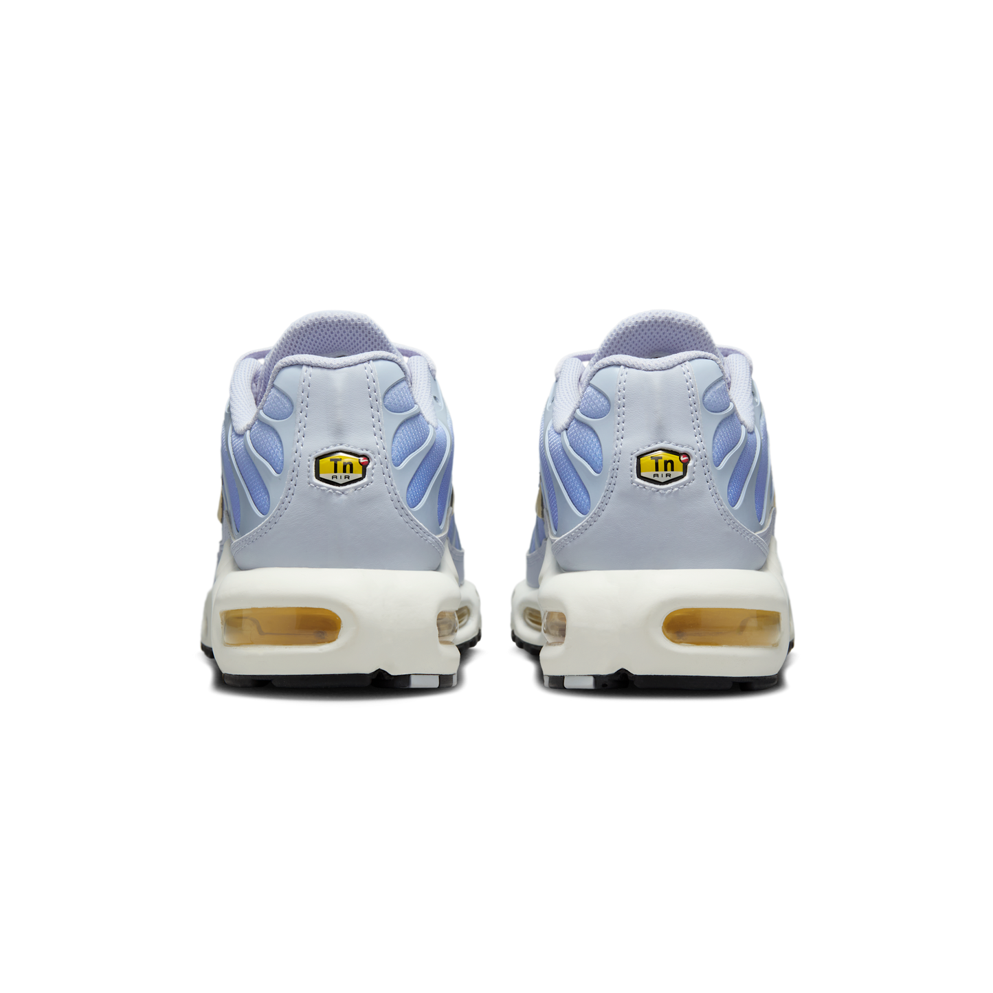 Nike Air Max Plus Daybreak (Women's)