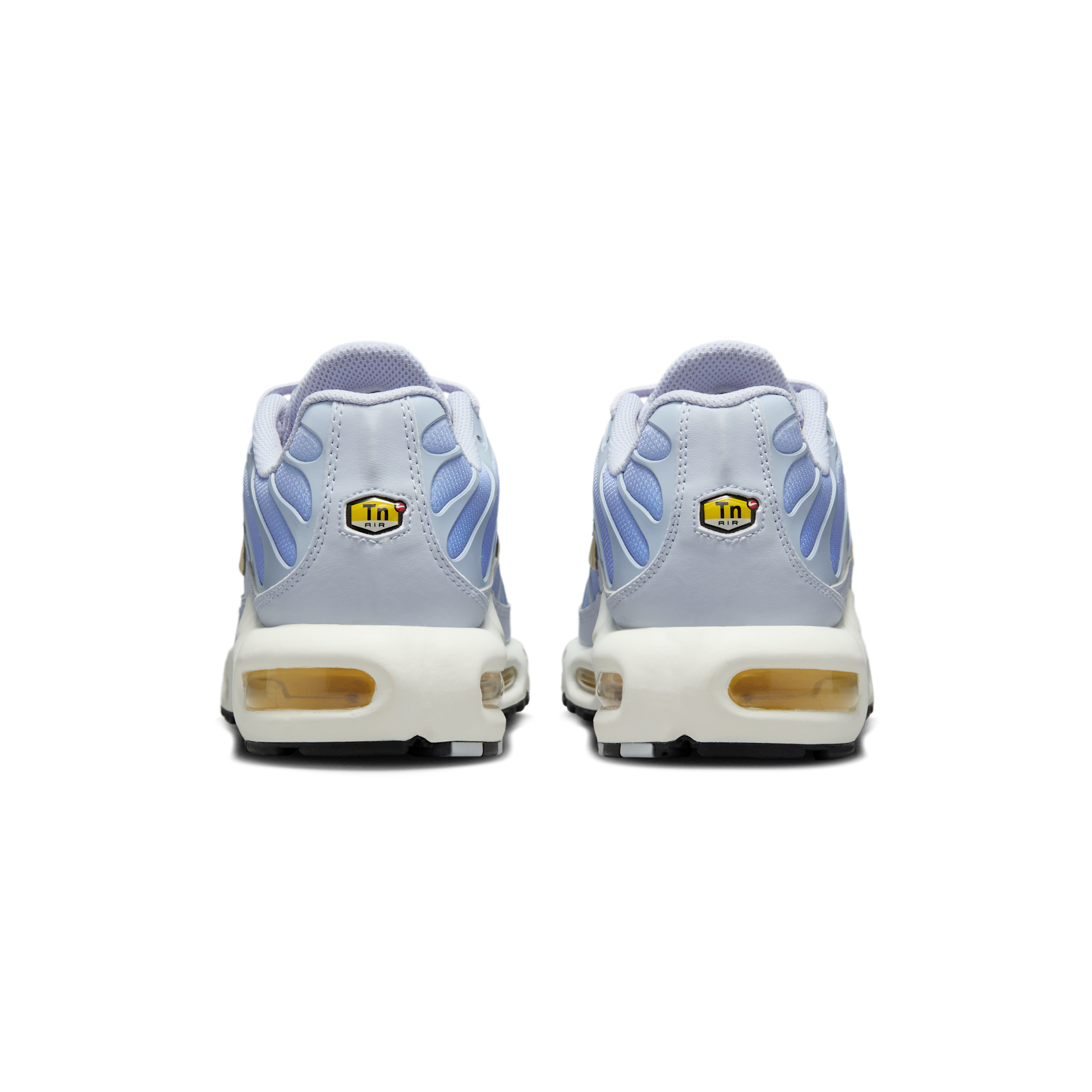 Nike Air Max Plus Daybreak (Women's)