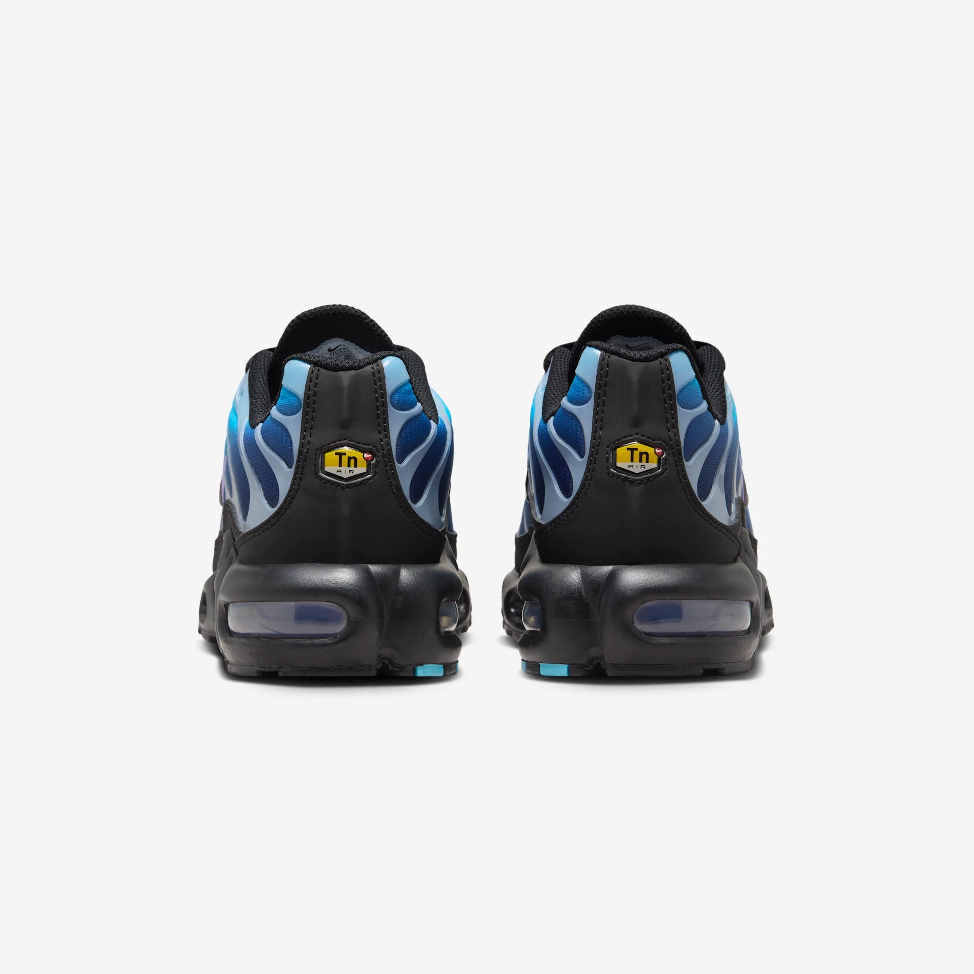 Nike Air Max Plus Black Hydrangeas (Women's)