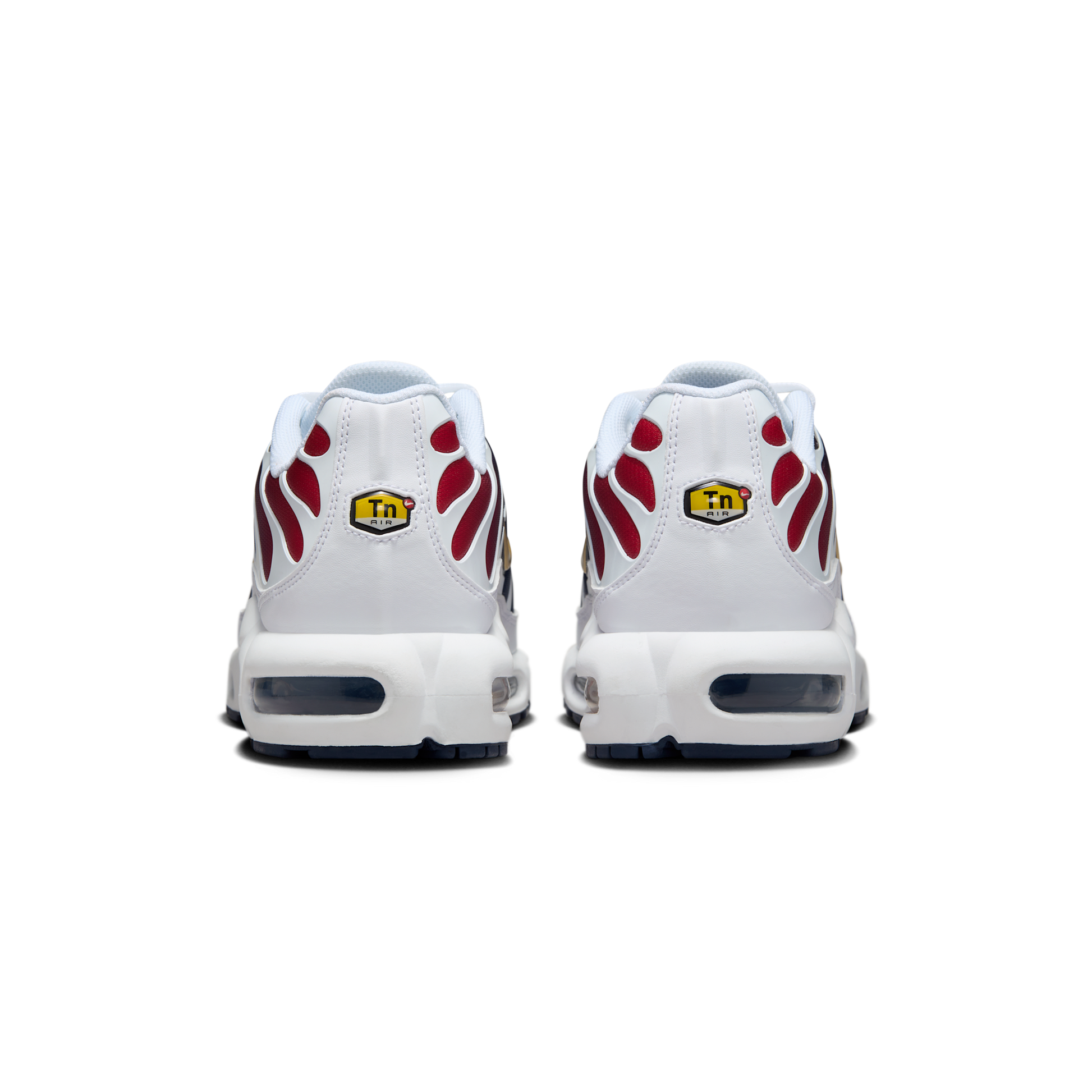 Nike Air Max Plus PSG