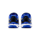 Nike P-6000 Racer Blue Flat Silver