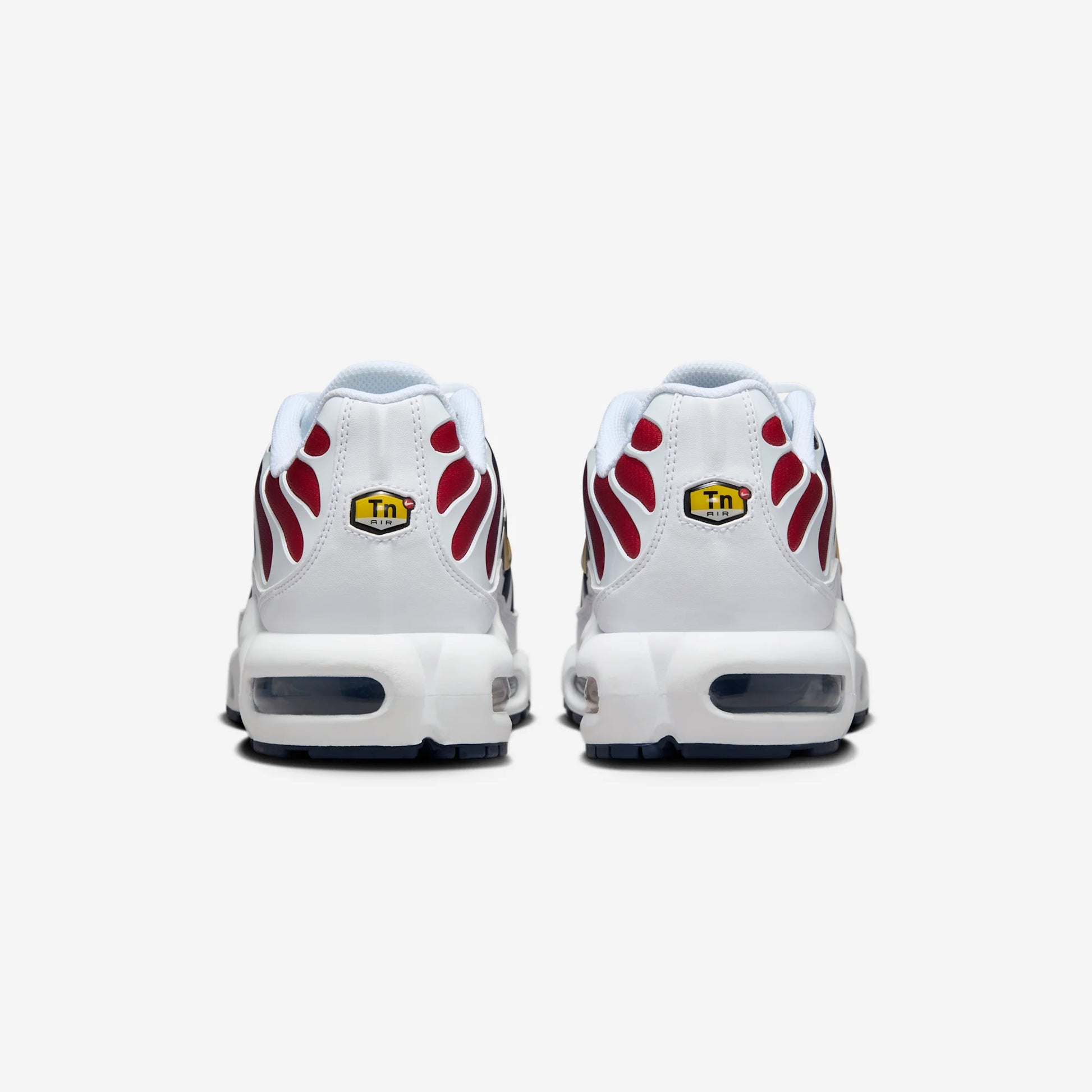 Nike Air Max Plus PSG