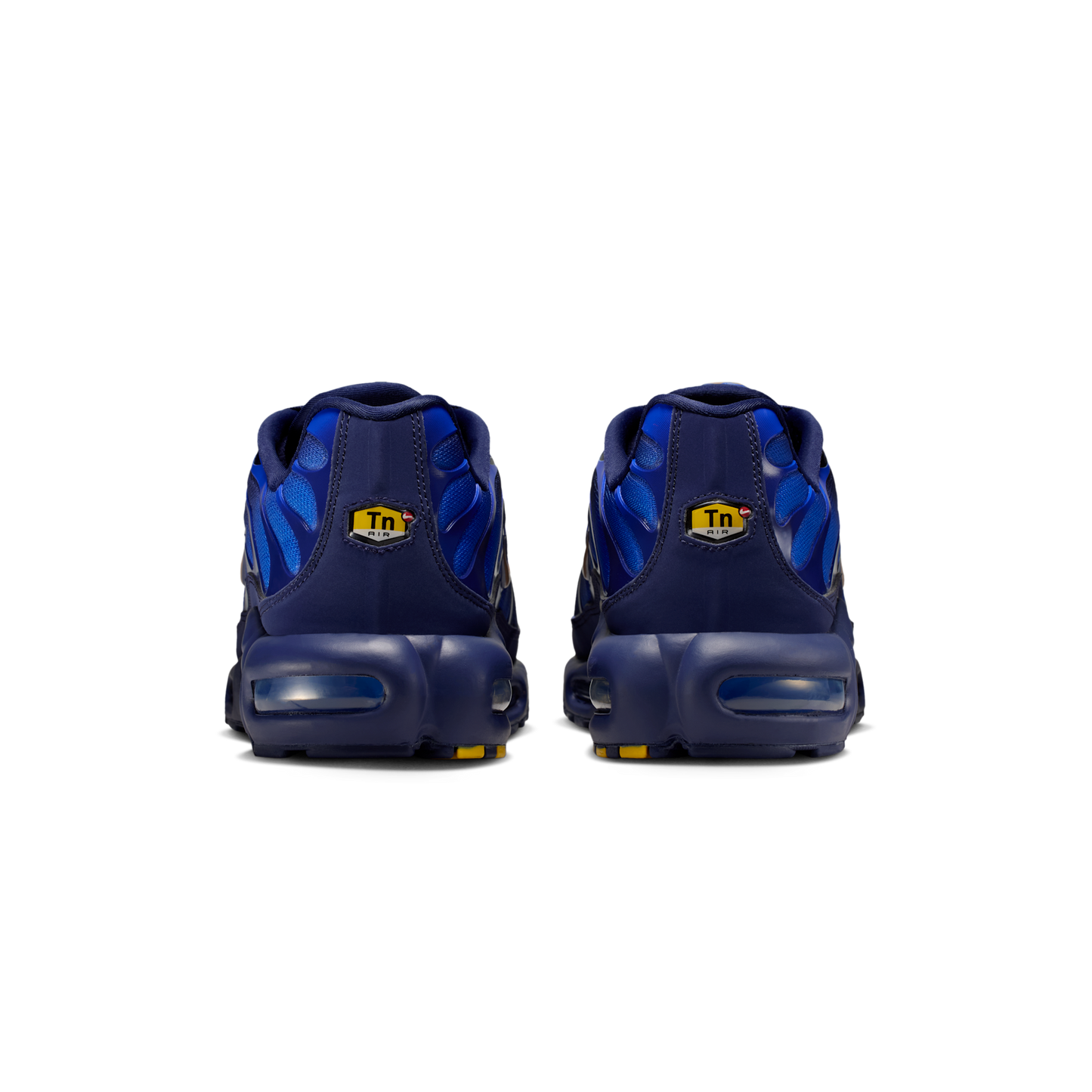 Nike Air Max Plus French Football Federation
