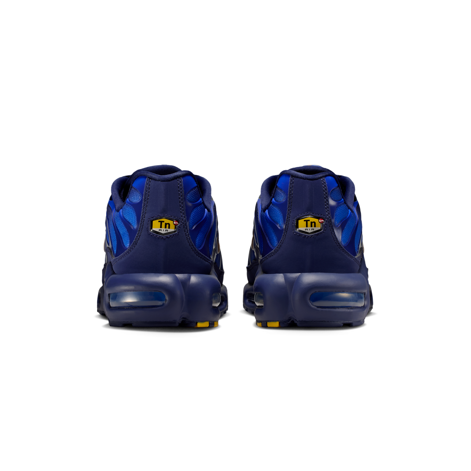 Nike Air Max Plus French Football Federation
