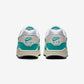 Nike Air Max 1 Dusty Cactus (Women's)