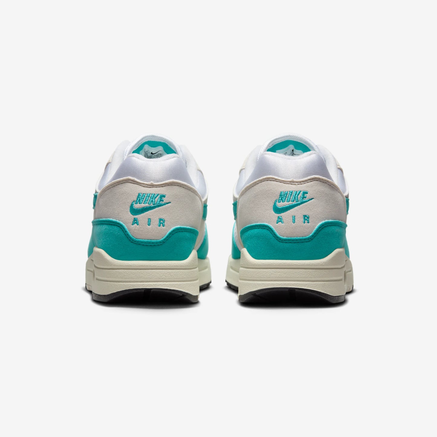 Nike Air Max 1 Dusty Cactus (Women's)