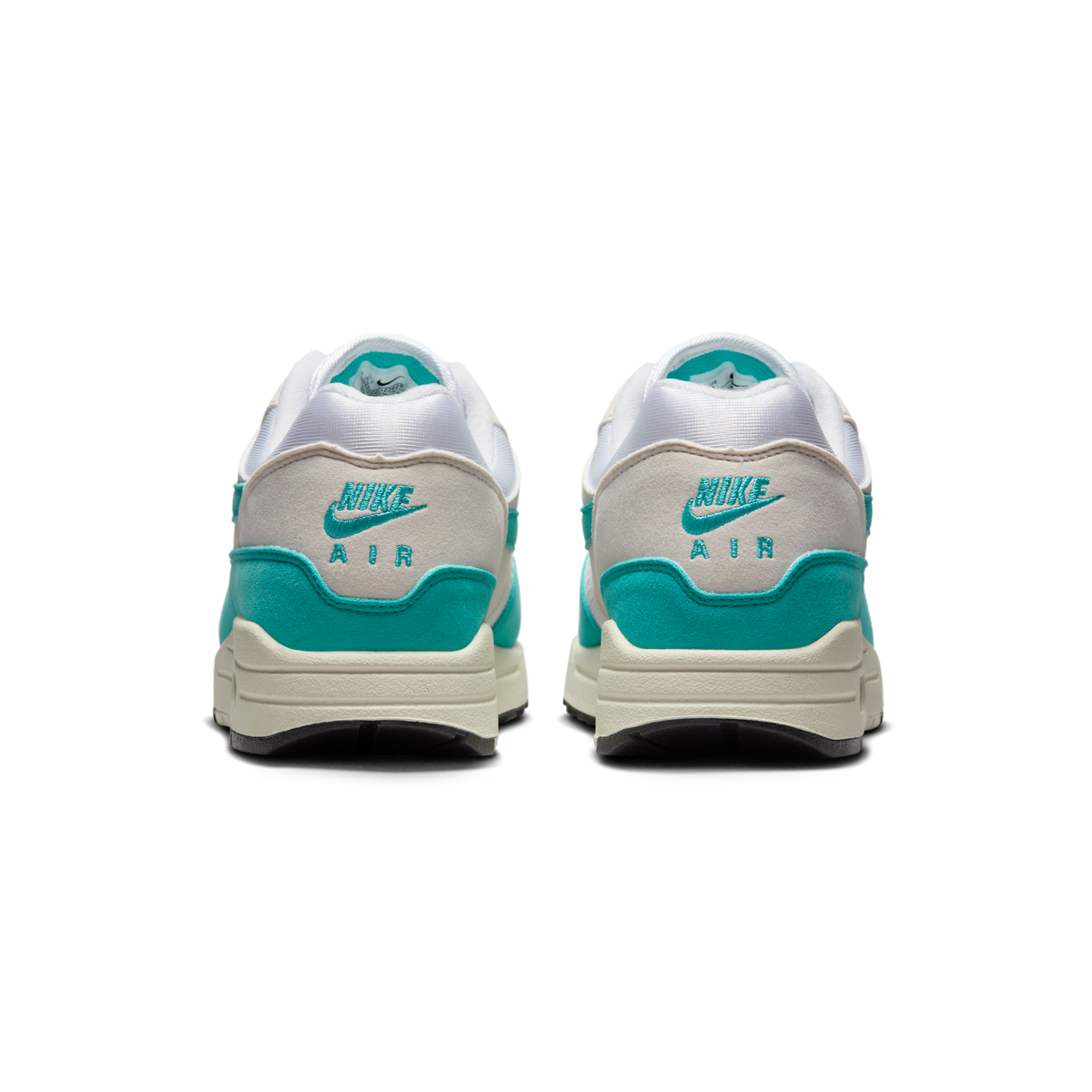 Nike Air Max 1 Dusty Cactus (Women's)
