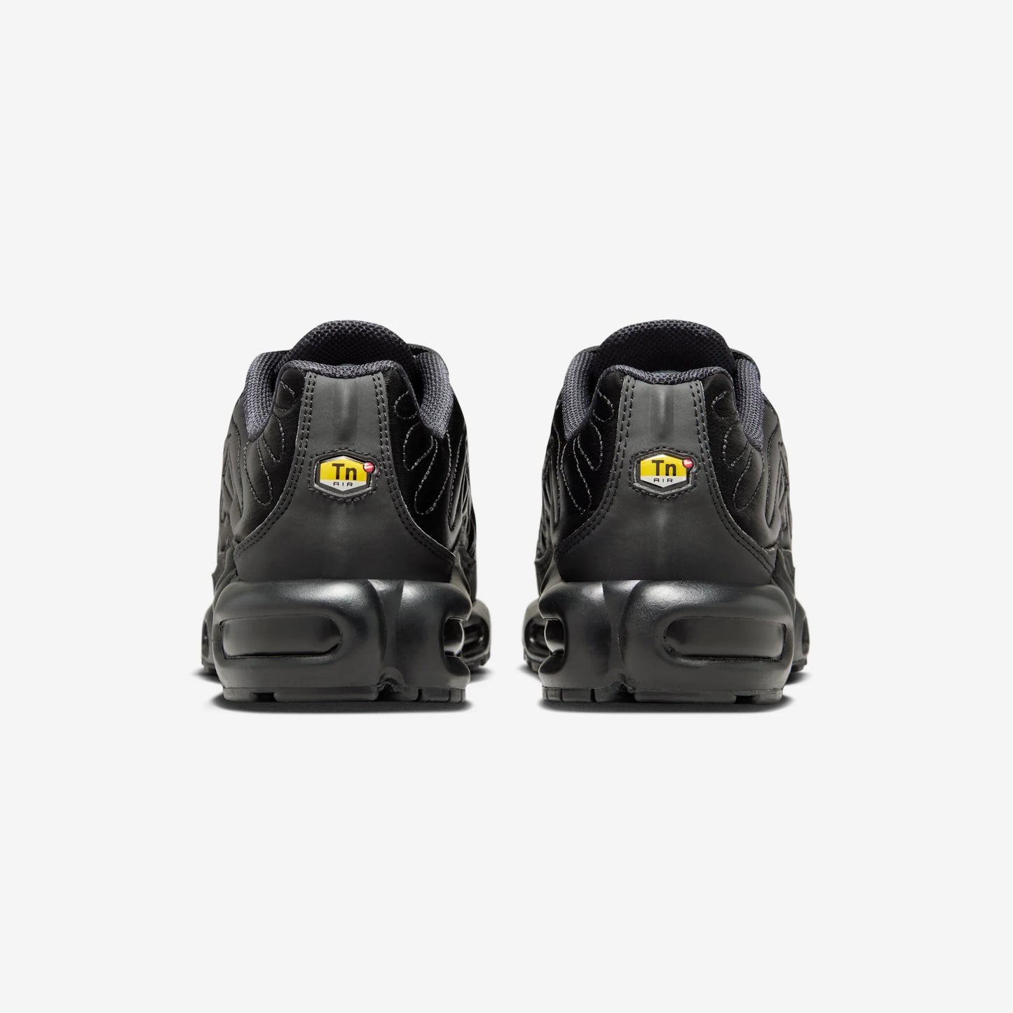 Nike Air Max Plus Black Anthracite Sail (Women's)