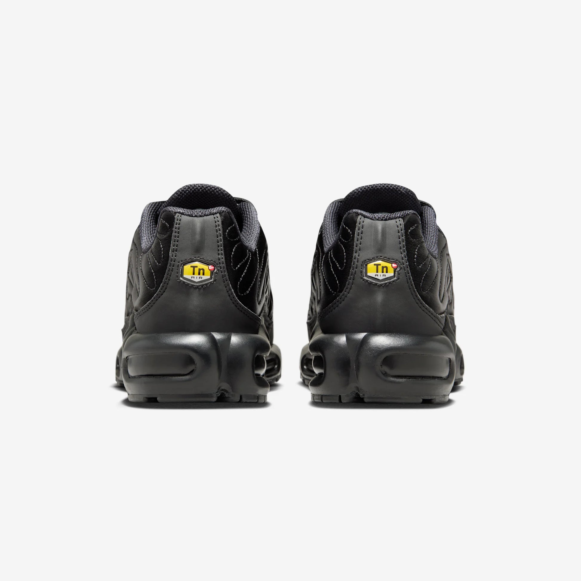 Nike Air Max Plus Black Anthracite Sail (Women's)