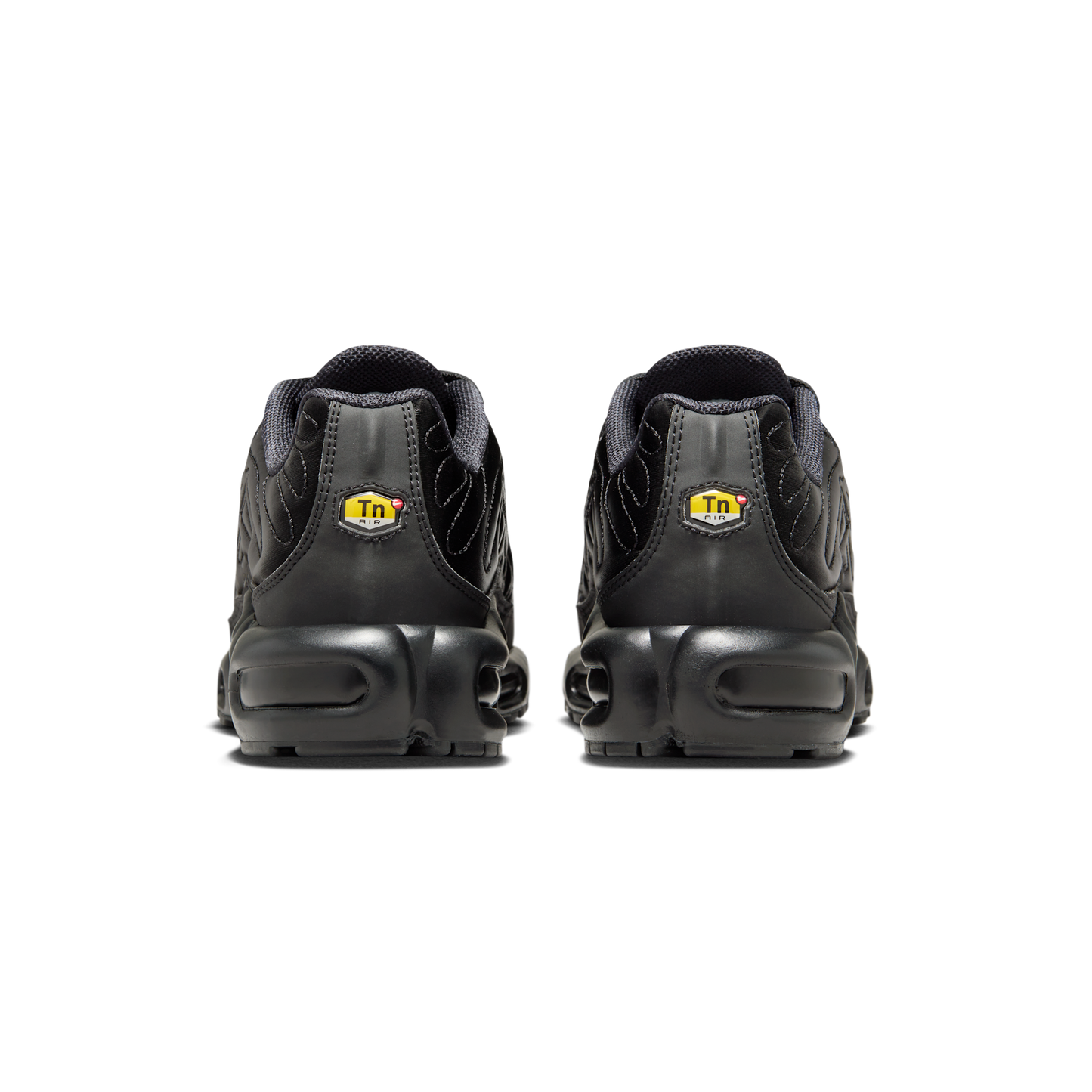Nike Air Max Plus Black Anthracite Sail (Women's)