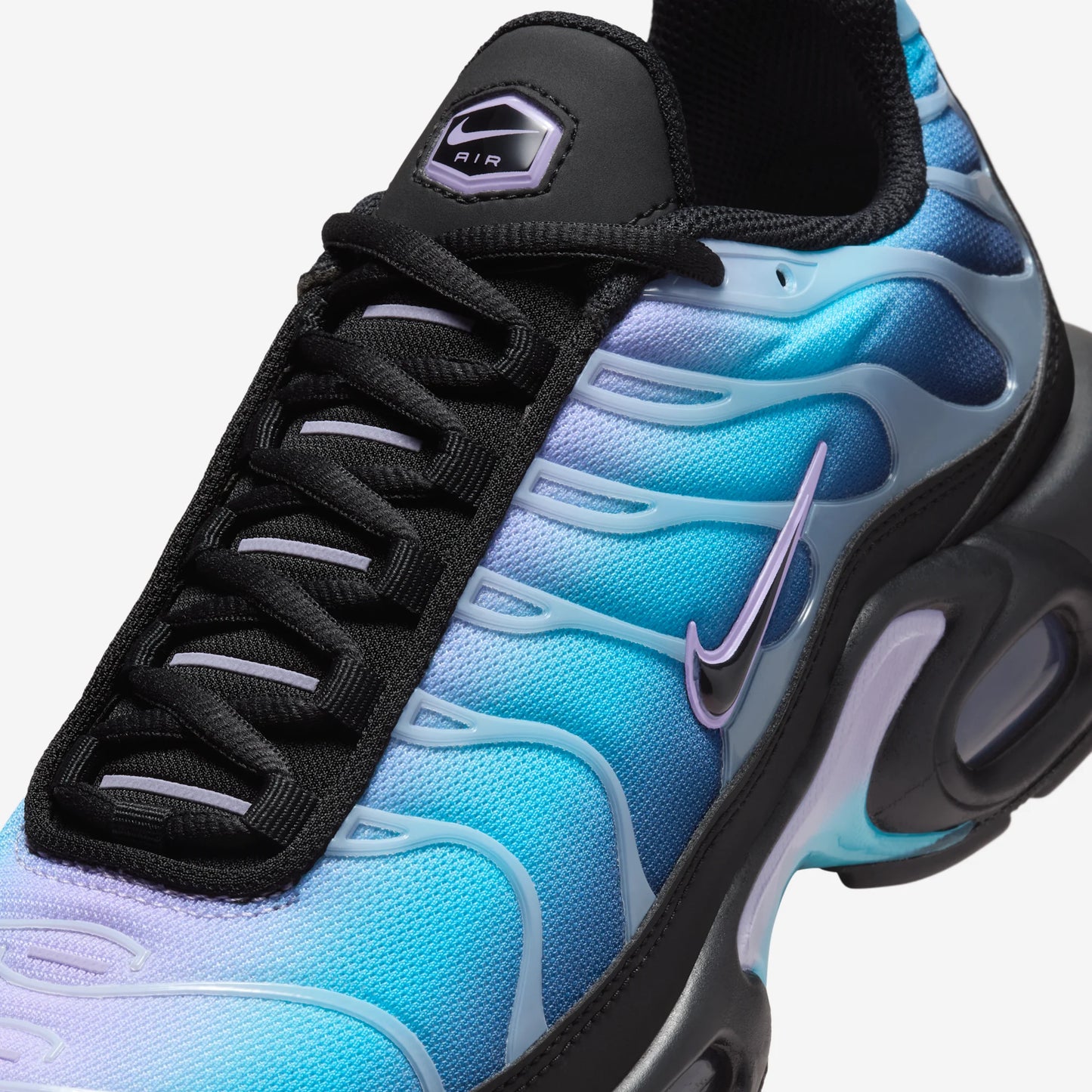 Nike Air Max Plus Black Hydrangeas (Women's)