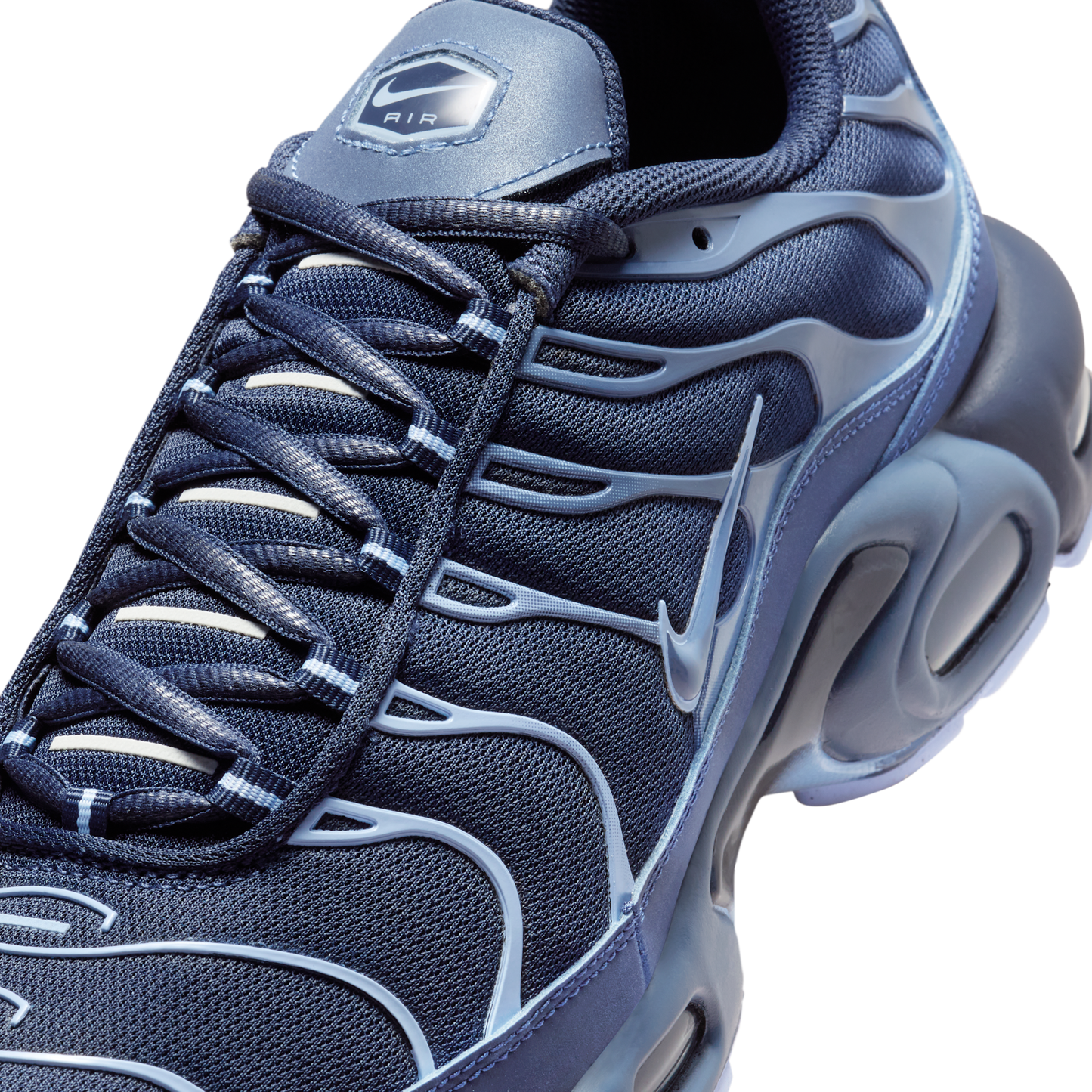 Nike Air Max Plus Obsidian Aluminum