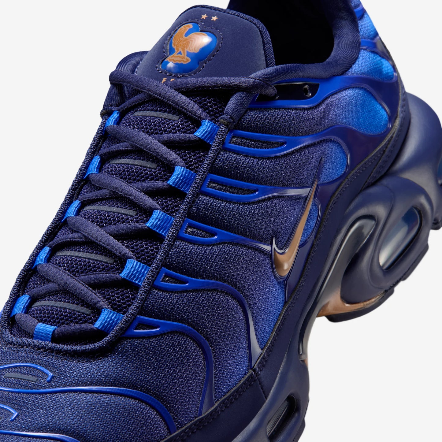 Nike Air Max Plus French Football Federation