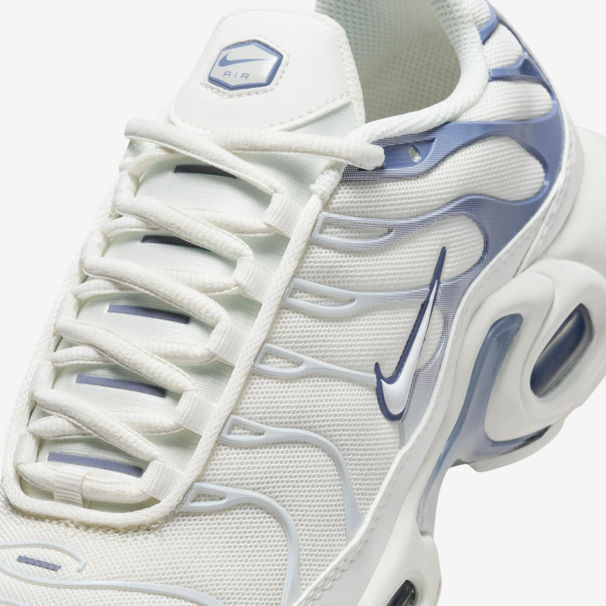 Nike Air Max Plus Ashen Slate (Women's)