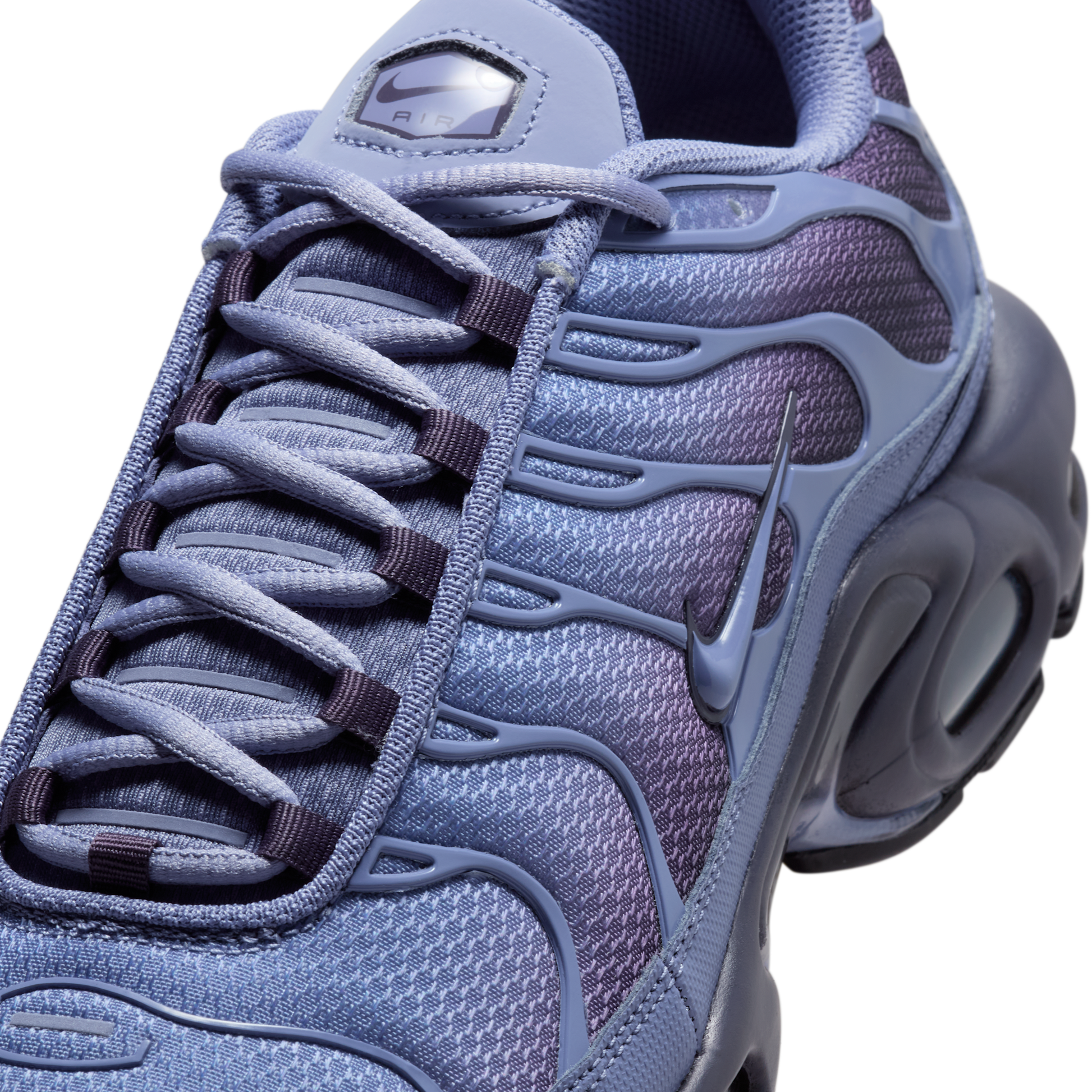 Nike Air Max Plus World Indigo