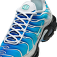 Nike Air Max Plus One Block Down Light Photo Blue