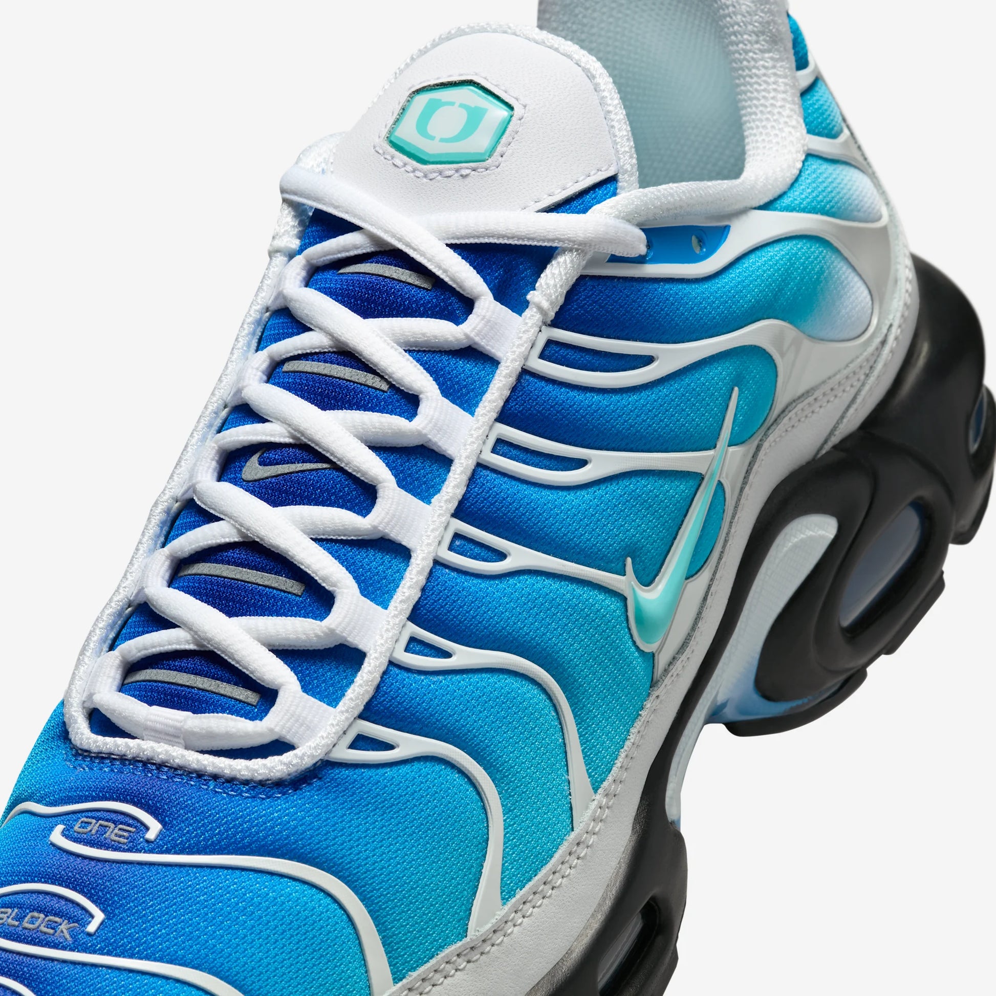 Nike Air Max Plus One Block Down Light Photo Blue