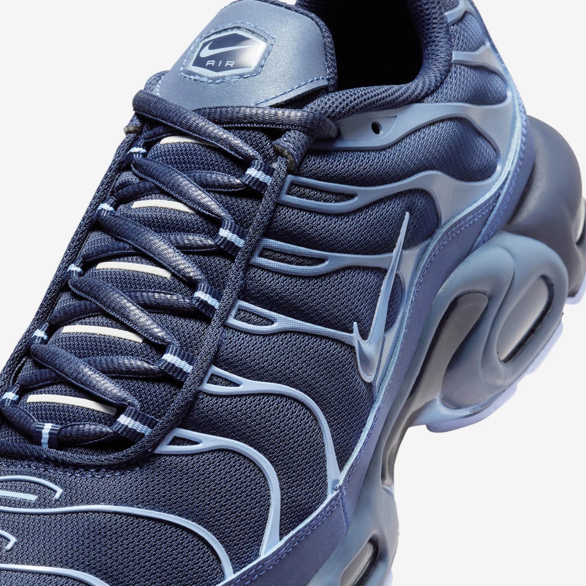 Nike Air Max Plus Obsidian Aluminum