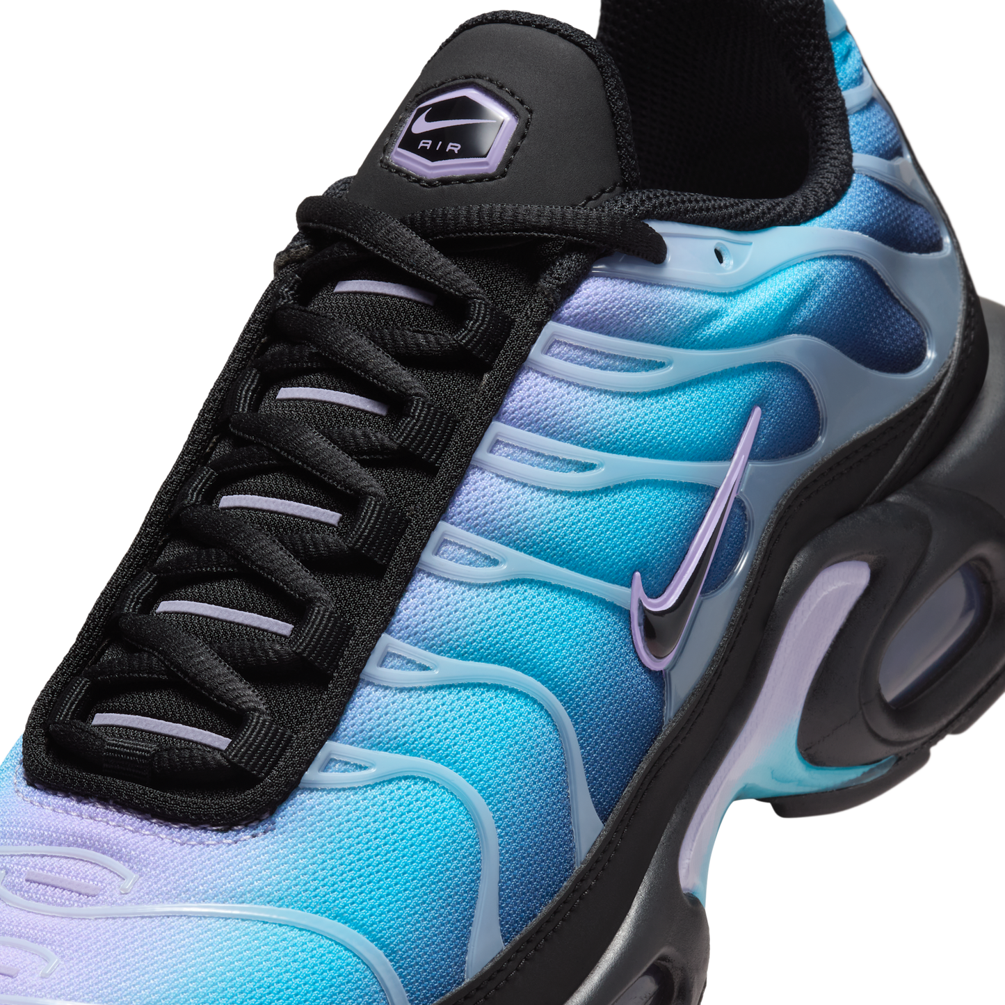Nike Air Max Plus Black Hydrangeas (Women's)
