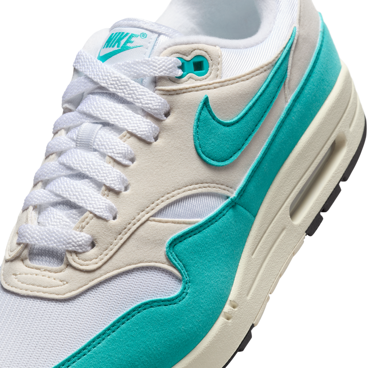 Nike Air Max 1 Dusty Cactus (Women's)